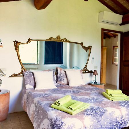Agriturismo Quarantallina Buonconvento Buitenkant foto