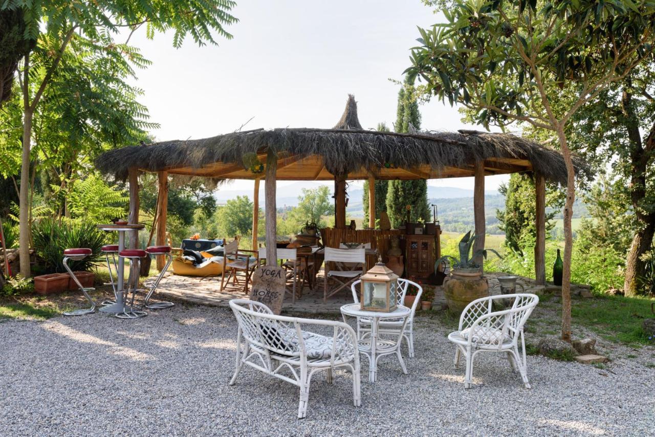 Agriturismo Quarantallina Buonconvento Buitenkant foto